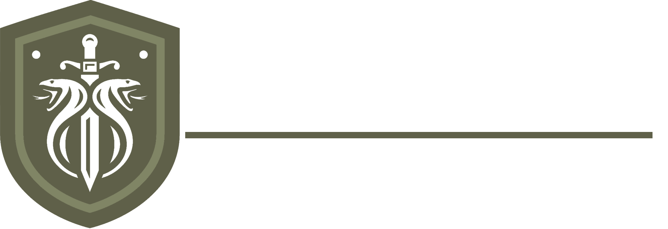 ANZSEC Logo